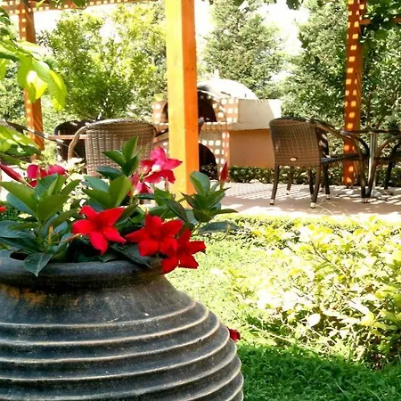 Otel Golden Rose 3*