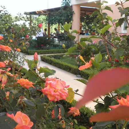 Golden Rose Otel