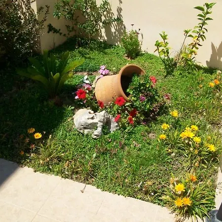 فندق Golden Rose كوليمفاري