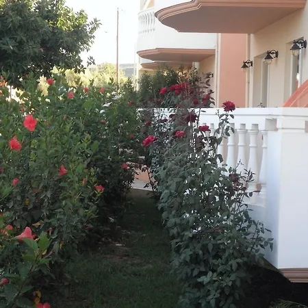 فندق Golden Rose كوليمفاري
